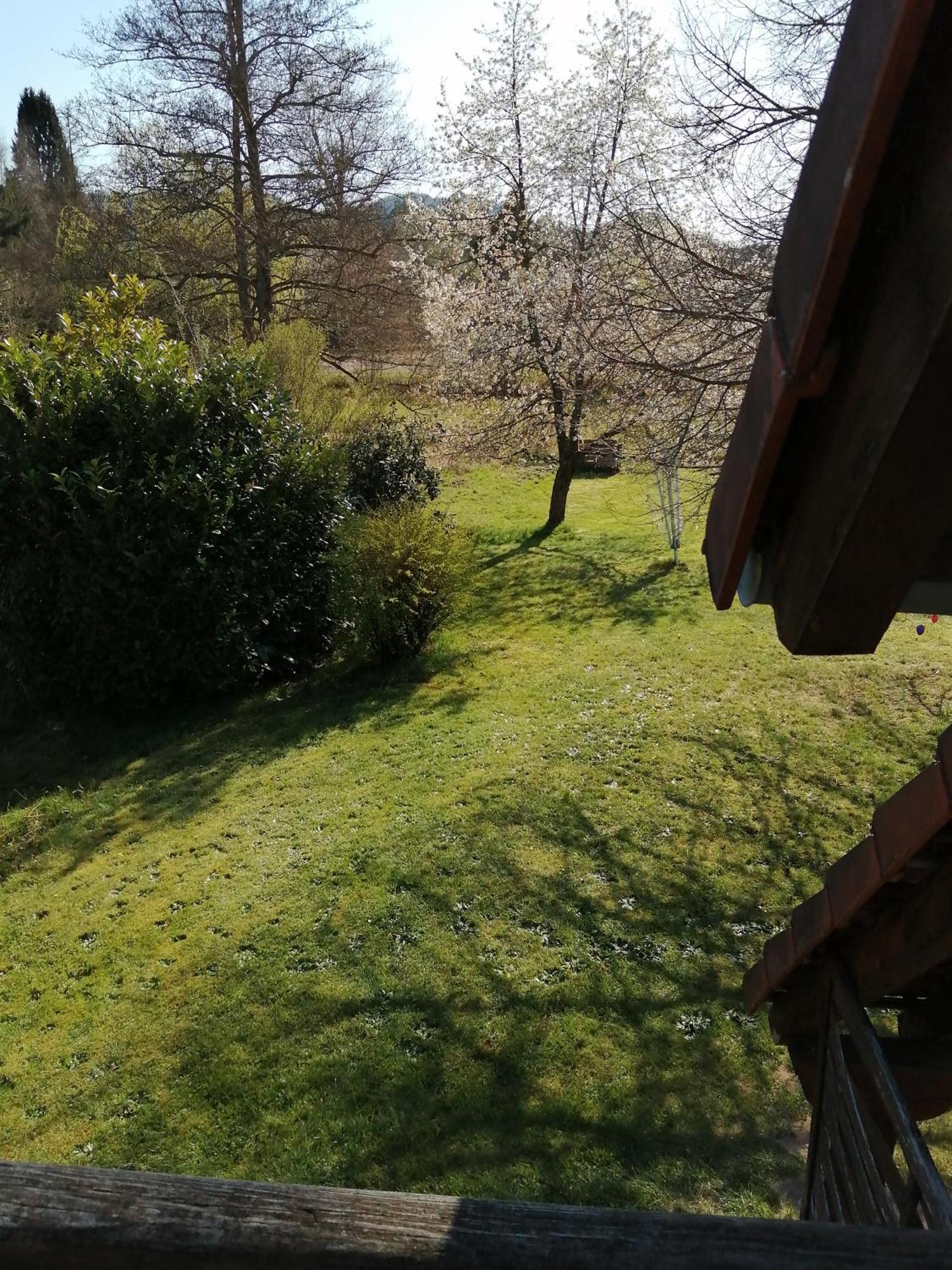 Gite 1 Etage Dambach Экстерьер фото